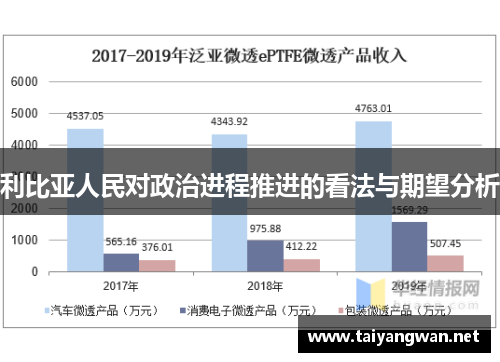 利比亚人民对政治进程推进的看法与期望分析