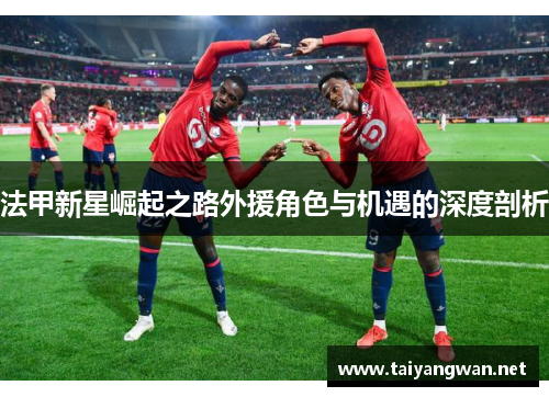 法甲新星崛起之路外援角色与机遇的深度剖析