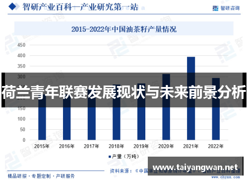 荷兰青年联赛发展现状与未来前景分析 荷兰青年联赛发展现状与未来前景分析