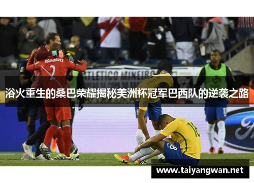 浴火重生的桑巴荣耀揭秘美洲杯冠军巴西队的逆袭之路